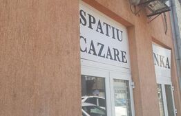 Spatiu comercial, zona Sannicolau Mare, 65 mp utili
