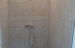 Spatiu comercial, zona Sannicolau Mare, 65 mp utili