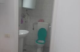 Spatiu comercial, zona Sannicolau Mare, 65 mp utili