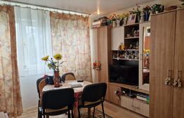 Apartament cu 2 camere, 41 mp,  zona Iosefin