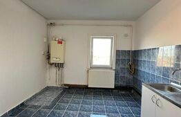 Apartament cu 2 camere, în zona Buziașului!