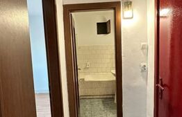 Apartament cu 2 camere, în zona Buziașului!