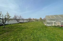 De vânzare casa, 8 camere, 300 mp, teren 1940 mp Sacalaz