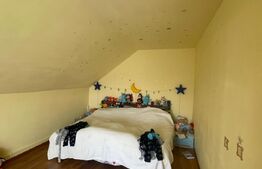 De vânzare casa, 8 camere, 300 mp, teren 1940 mp Sacalaz