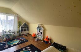 De vânzare casa, 8 camere, 300 mp, teren 1940 mp Sacalaz