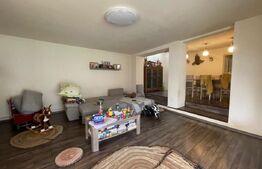 De vânzare casa, 8 camere, 300 mp, teren 1940 mp Sacalaz