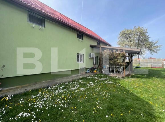 Casa de vânzare 8 camere Exterior Sud - 139635CV | BLITZ Timișoara | Poza10