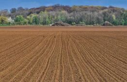 Teren agricol, 23 Ha, zona Sanmartinul Sarbesc 