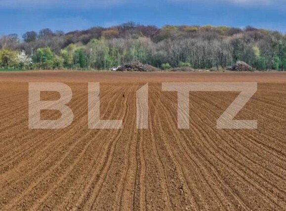 Teren de vânzare Exterior Sud - 139678TV | BLITZ Timișoara | Poza1