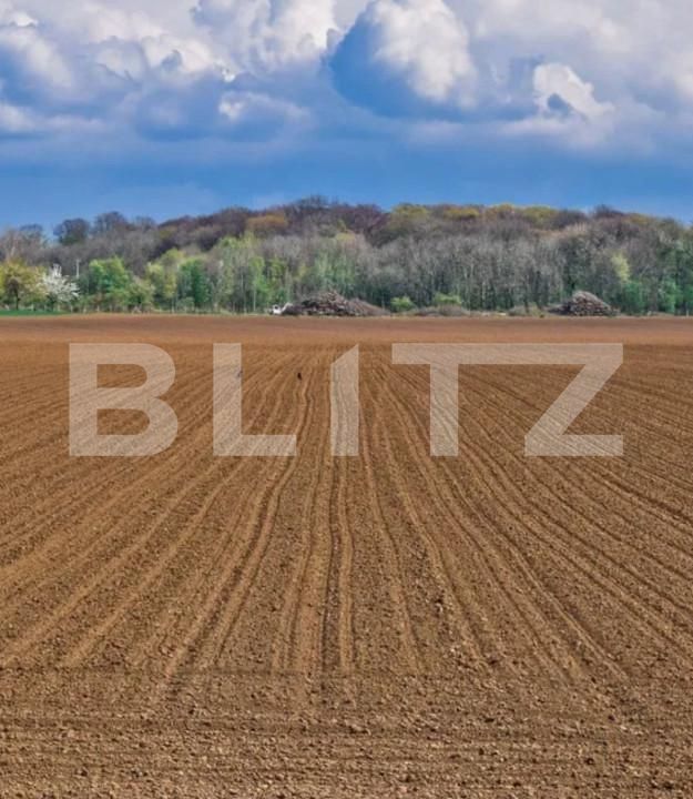 Teren de vânzare Exterior Sud - 139678TV | BLITZ Timișoara | Poza1