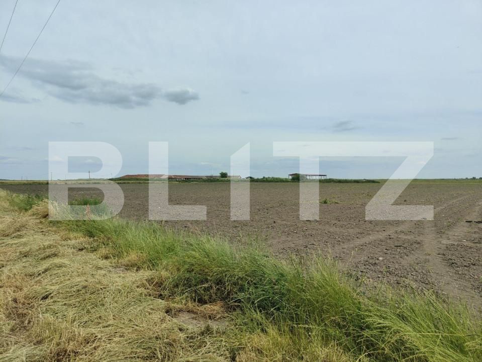 Teren de vânzare Exterior Est - 139680TV | BLITZ Timișoara | Poza1