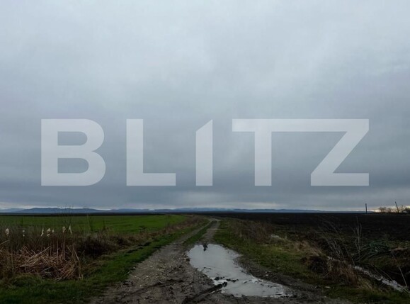 Teren de vânzare Exterior Sud - 140015TV | BLITZ Timișoara | Poza3