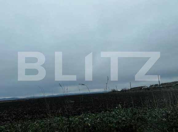 Teren de vânzare Exterior Sud - 140015TV | BLITZ Timișoara | Poza5