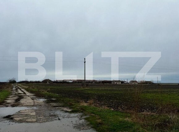 Teren de vânzare Exterior Sud - 140015TV | BLITZ Timișoara | Poza6