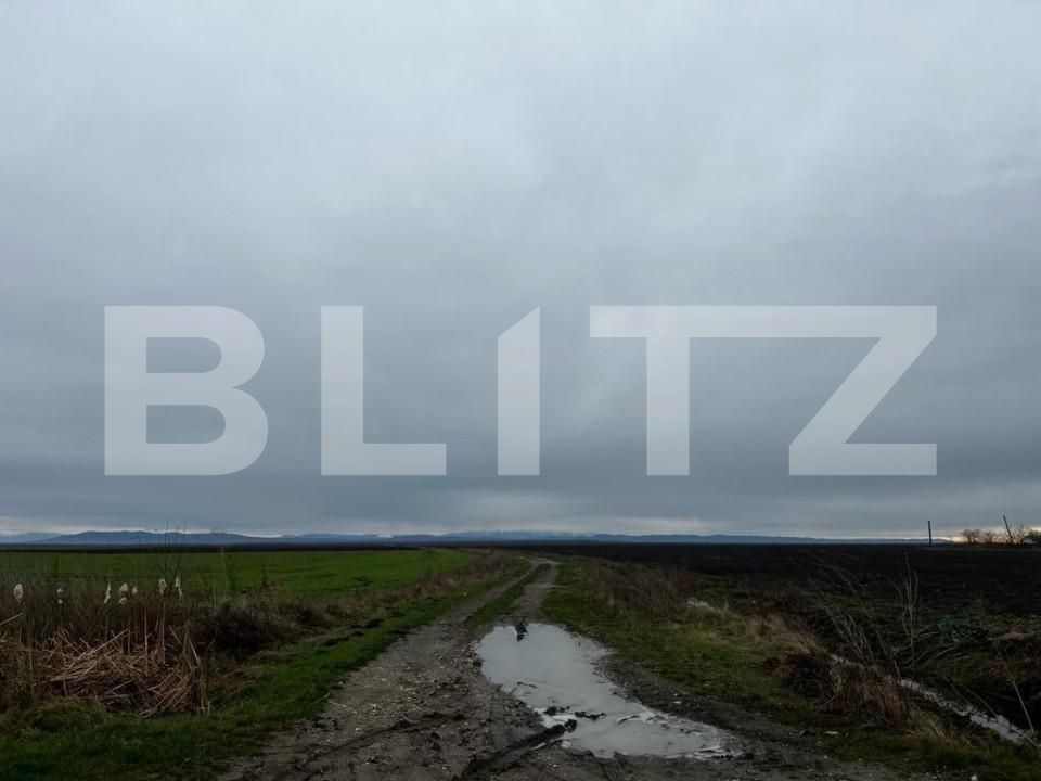 Teren de vânzare Exterior Sud - 140015TV | BLITZ Timișoara | Poza3