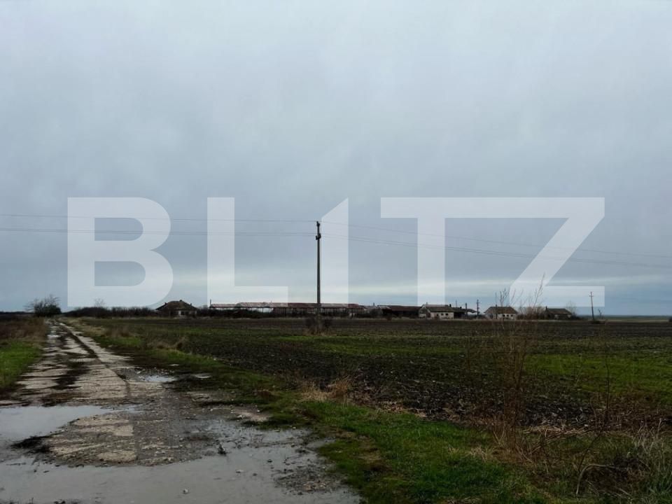 Teren de vânzare Exterior Sud - 140015TV | BLITZ Timișoara | Poza6