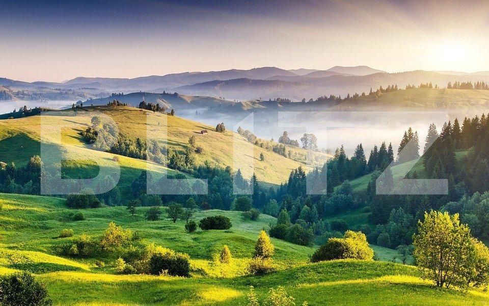 Teren de vânzare Exterior Vest - 140018TV | BLITZ Timișoara | Poza1