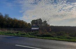 Ocazie investitii, teren 25100 mp la DN6 in Biled, jud. Timis!