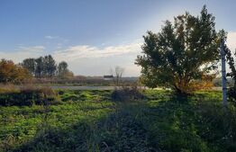 Ocazie investitii, teren 25100 mp la DN6 in Biled, jud. Timis!