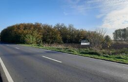 Ocazie investitii, teren 25100 mp la DN6 in Biled, jud. Timis!