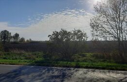 Ocazie investitii, teren 25100 mp la DN6 in Biled, jud. Timis!