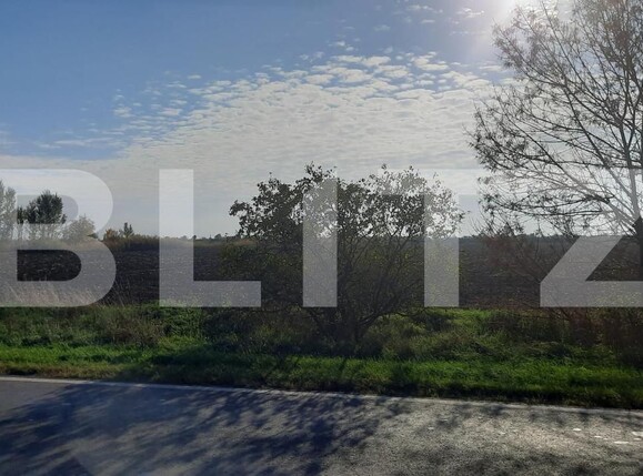 Teren de vânzare Exterior Vest - 140020TV | BLITZ Timișoara | Poza5