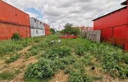 Teren industrial, 3550 mp, cu hale 1200 mp, Buziasului