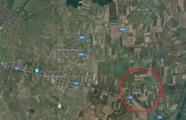 Teren extravilan, FS 30ml, 5700mp, Albina 