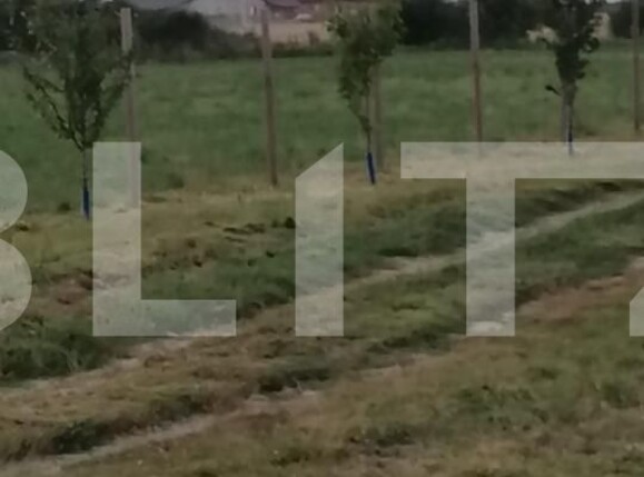 Teren de vânzare Exterior Sud - 140024TV | BLITZ Timișoara | Poza2