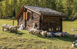 Teren intravilan, 10591 mp, Exterior Vest