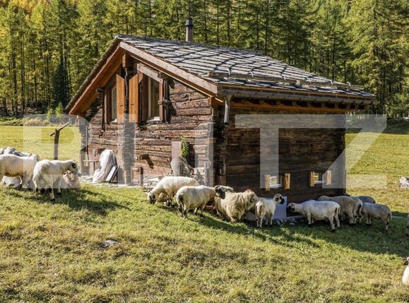 Teren de vânzare Exterior Vest - 140026TV | BLITZ Timișoara | Poza1