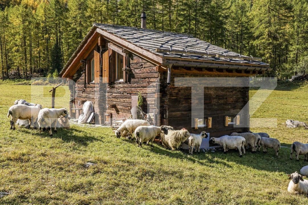 Teren de vânzare Exterior Vest - 140026TV | BLITZ Timișoara | Poza1