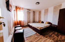 Oportunitate business, Vilă-Pensiune, 459mp, zona Mehala