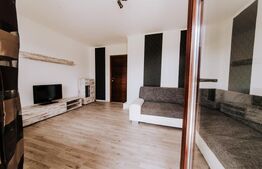 Oportunitate business, Vilă-Pensiune, 459mp, zona Mehala