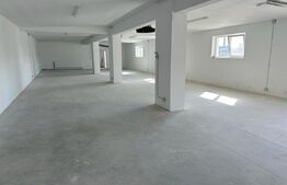 Oportunitate de business, spatii si teren intravilan, 8500 mp, in Deva!