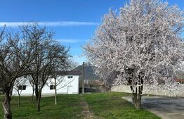 Oportunitate de business, spatii si teren intravilan, 8500 mp, in Deva!