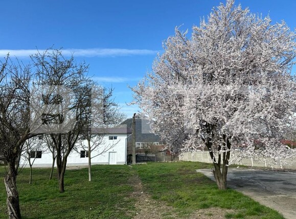 Spațiu comercial de vânzare Exterior Nord - 140031SVC | BLITZ Timișoara | Poza3