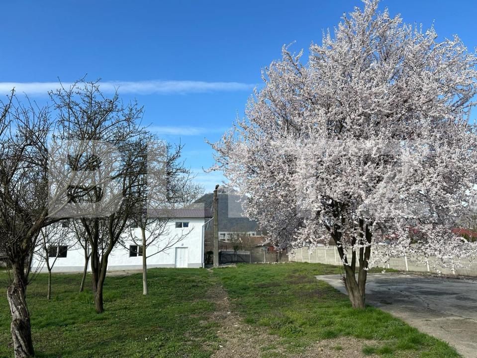 Spațiu comercial de vânzare Exterior Nord - 140031SVC | BLITZ Timișoara | Poza3