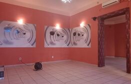  Super pret, vad bun, spatiu comercial, 239 mp, zona Sinaia