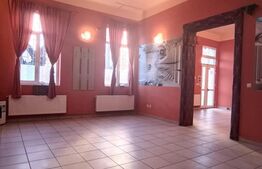  Super pret, vad bun, spatiu comercial, 239 mp, zona Sinaia