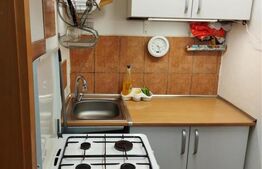 Ocazie, garsoniera mobilata, 22 mp, Blașcovici