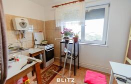 Apartament cu priveliste, 2 camere, 52 mp, langa Piata Iosefin