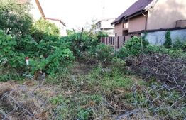 Casa individuala 3 camere, 60mp, teren 994 mp, Braytim