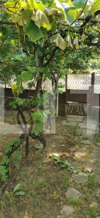 Casa de vânzare 3 camere Braytim - 140046CV | BLITZ Timișoara | Poza2