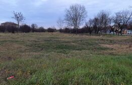 Oportunitate investitii, 4600 mp teren intravilan vanzare, pozitionat foarte bine in Braytim