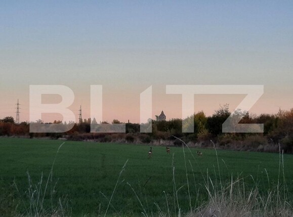 Teren de vânzare Ronat - 140050TV | BLITZ Timișoara | Poza1