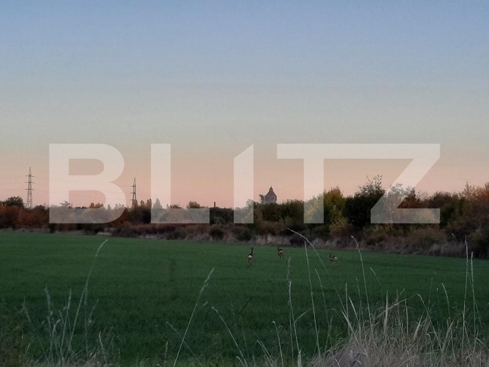 Teren de vânzare Ronat - 140050TV | BLITZ Timișoara | Poza1