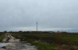 Investitii, teren 76110 mp, cu complex zootehnic, Exterior Est