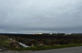 Investitii, teren 76110 mp, cu complex zootehnic, Exterior Est