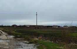 Investitii, teren 76110 mp, cu complex zootehnic, Exterior Est